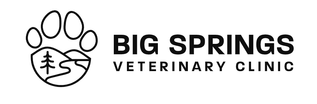Big Springs Veterinary Clinic